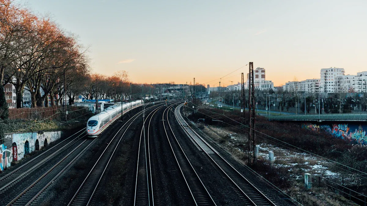 High-Speed Rail Case Study